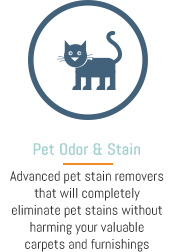 Pet Stain & Odor Removal Downtown, Baltimore